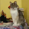 Отзыв от Катюша Винокурова